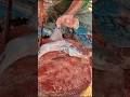 Popular River Fish Cutting Skills By Expert Fish Cutter 😱😲 || #shorts #fishcuttingexpert
