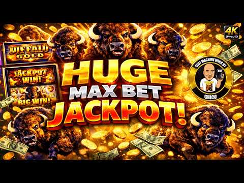 Buffalo Casino - Pelata suosittu kasinopelejä verkossa Suomessa