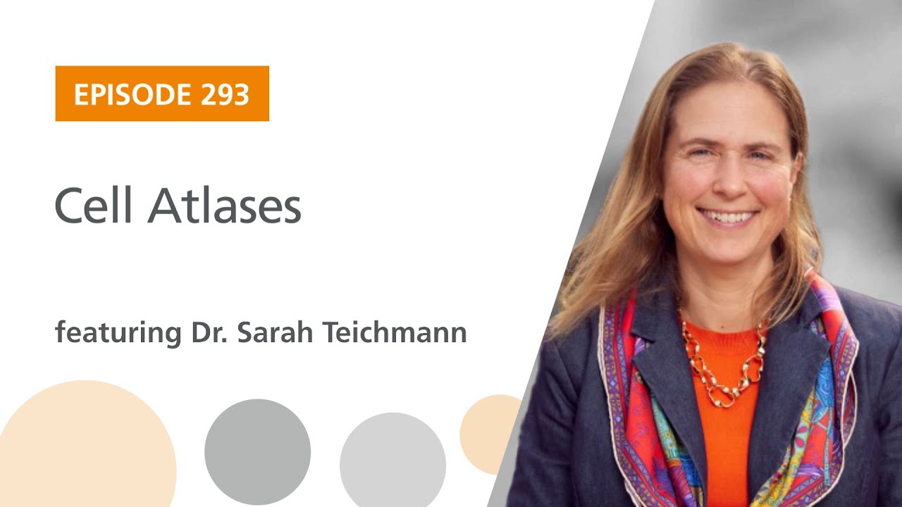 Cell Atlases featuring Dr. Sarah Teichmann | The Stem Cell Podcast