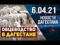 Новости Дагестана за 6.04.2021 года