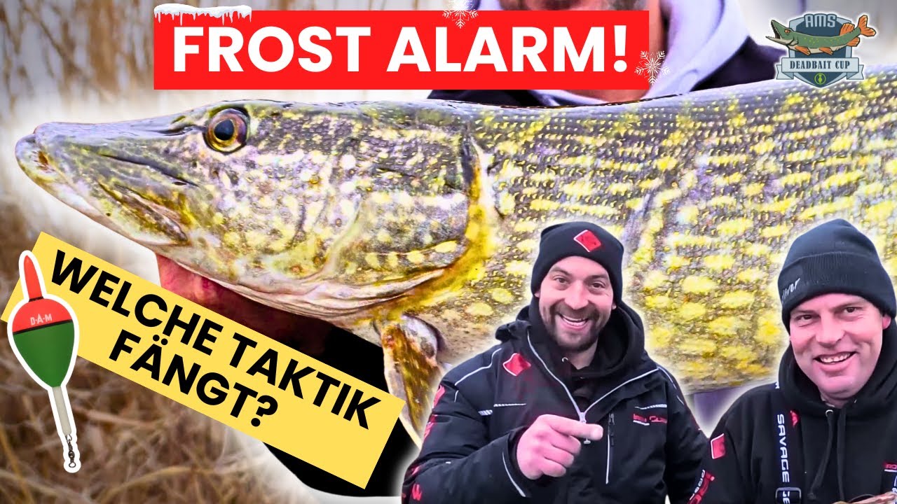Neue Folge online: Frost-Alarm  Welche Taktik fngt den Hecht?