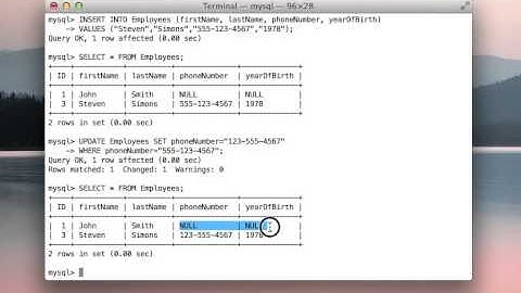 The Update Command (MySQL)