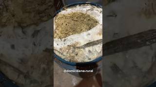 Resultado na silagem antes de usar a ração por cima #campinagrande #vidanaroça #produtores rurais
