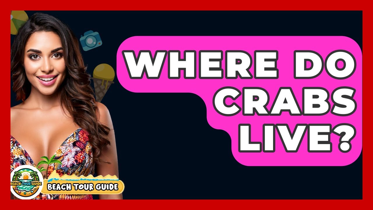 Where Do Crabs Live? - Beach Tour Guide