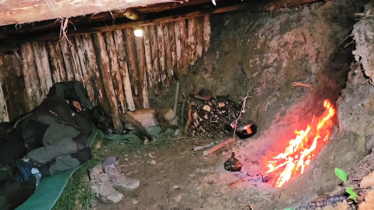 2 Days in My Forest Shelter with My Dog | Wilderness Survival