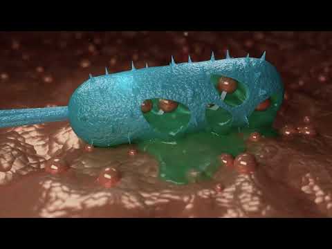3DSMAX & TYFLOW ANIMATION ANTI COVID 19