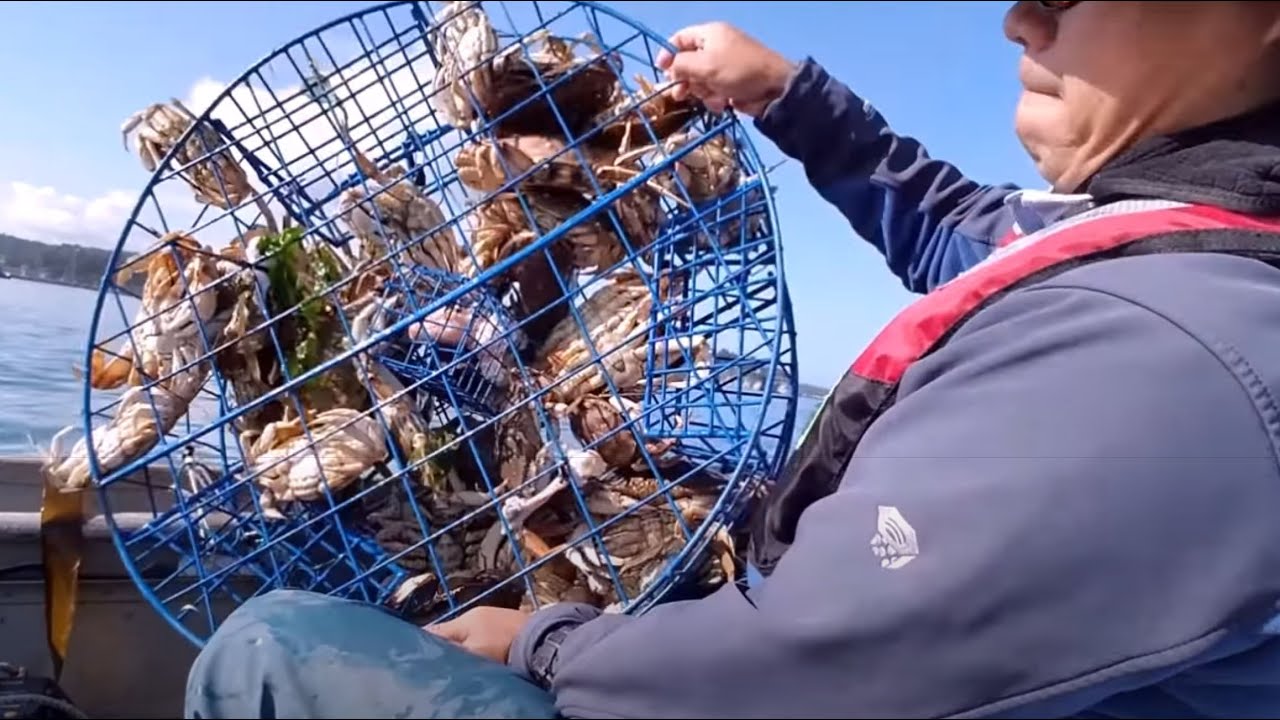 Oregon Crabbing Tips Gear and Bait YouTube