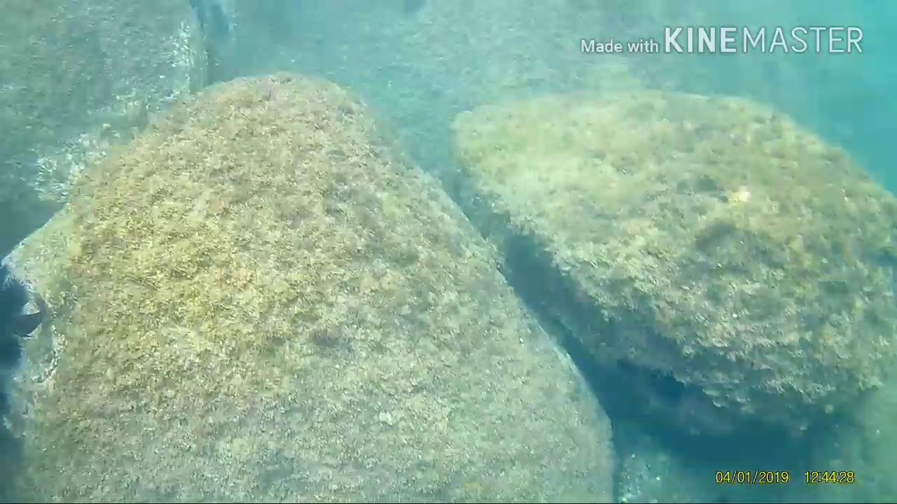 Diário 32 - Snorkel 2/3 Praia do sul - Ilha Anchieta em Ubatuba - SP