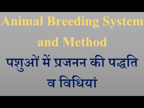 वीडियो: क्या चयनात्मक प्रजनन की प्रथा को जारी रखना चाहिए?