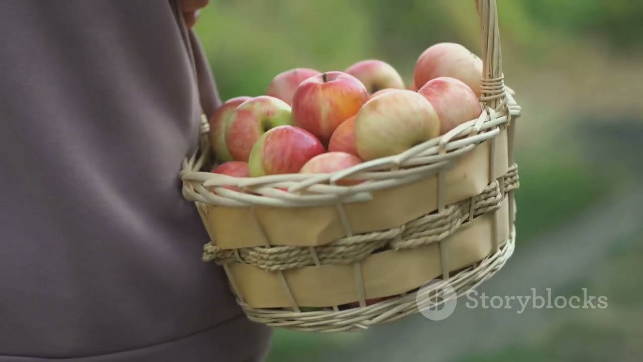 Germany's Apple Harvest: A Tale of Regional Contrasts