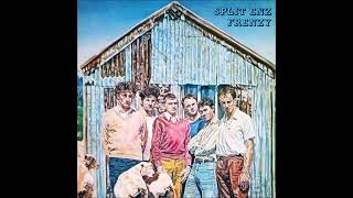 05  SPLIT ENZ 1979 stuff and nonsense