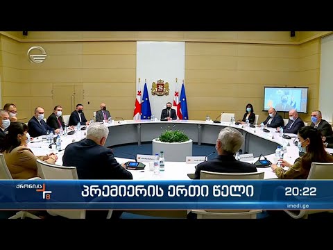 ირაკლი ღარიბაშვილის ერთწლიანი საქმიანობა