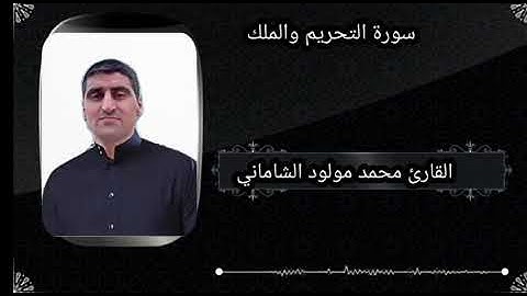 القارئ محمد مولود الشاماني سورة التحريم والملك