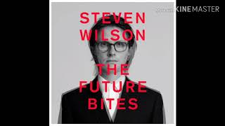 Steven Wilson - King Ghost (2020)