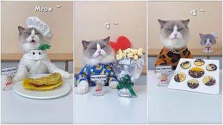 Cats make food 2022 'That Little Puff' Tiktok Compilation