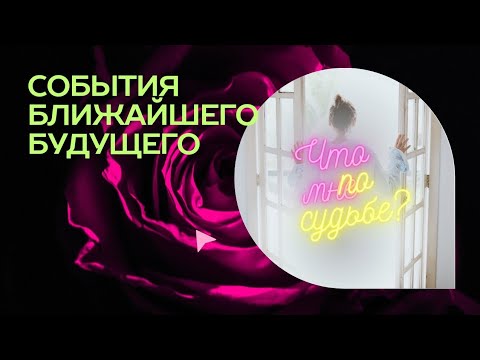 Video: Ռյազանի շրջանի Ռյաժսկ քաղաքից թոշակառու Պետր Կասյանչուկն իր միջոցներով կանաչապատում է քաղաքի փողոցները