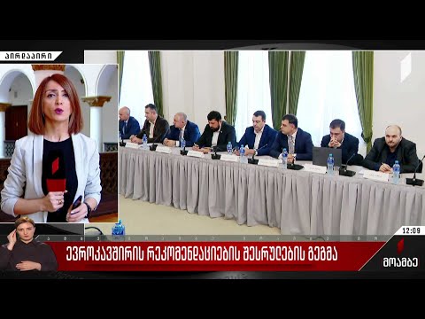 ევროკავშირის რეკომენდაციების შესრულების გეგმა