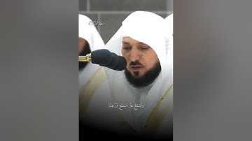 أَلَمۡ تَرَ إِلَى ٱلَّذِینَ أُوتُوا۟ نَصِیبࣰا |ماتيسر من سورة النساء |فضيلة الشيخ ماهر المعيقلي