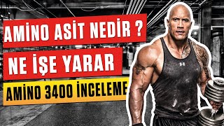 AMİNO ASİT NE İŞE YARAR ( Supplement İnceleme ) Resimi