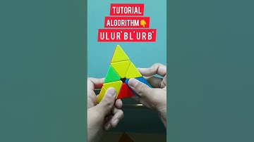 Checkerboard pattern on Pyraminx cube #shorts #shots #ytshorts