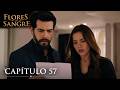 Flores de Sangre Capítulo 57 | Doblado en Español