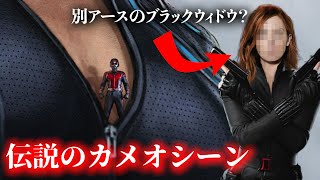 【MCU】別世界/別アースのブラックウィドウ？＆ある作品に伝説的なカメオシーンが存在していた？