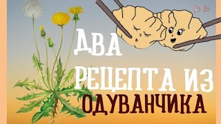 Одуванчик.Рецепты из одуванчика. Полез