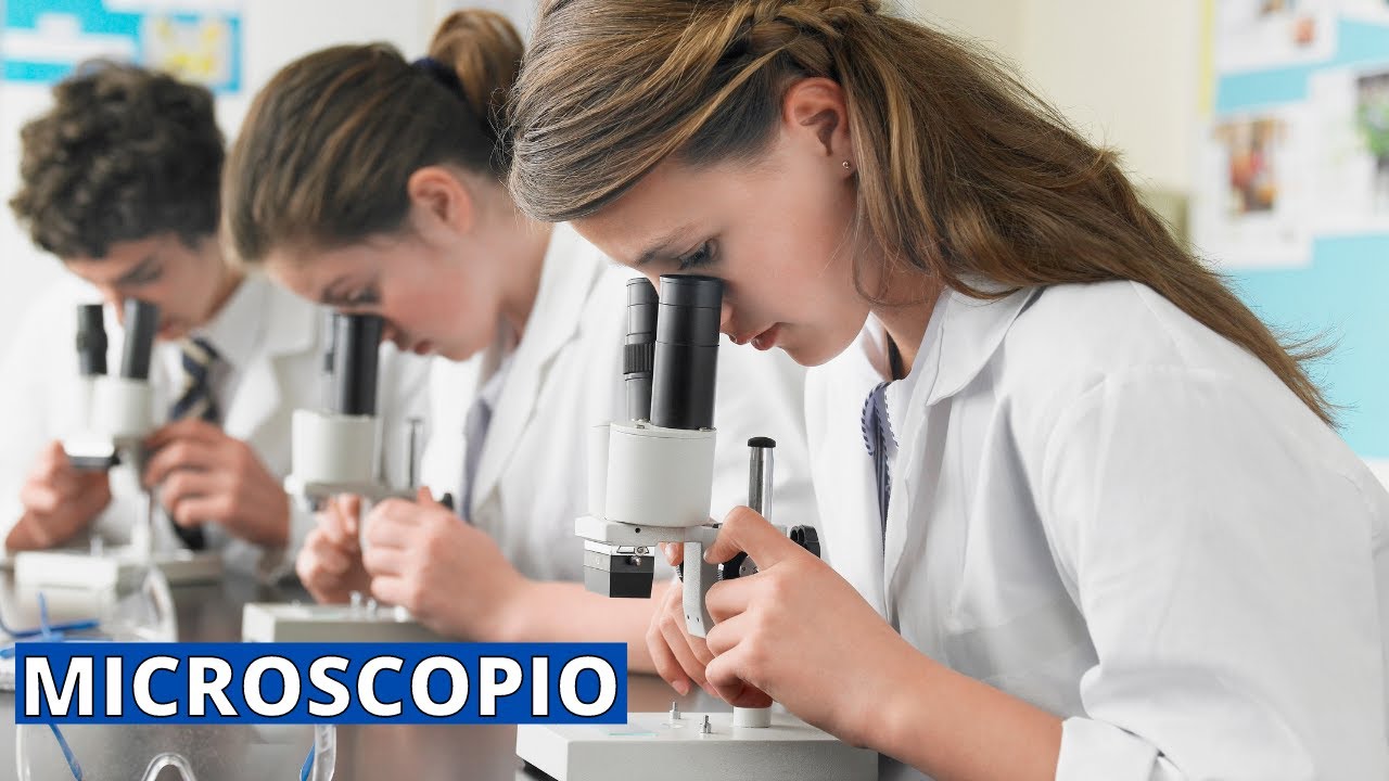 ¿Qué es el MICROSCOPIO y cuáles son sus partes? Tipos, importancia, historia