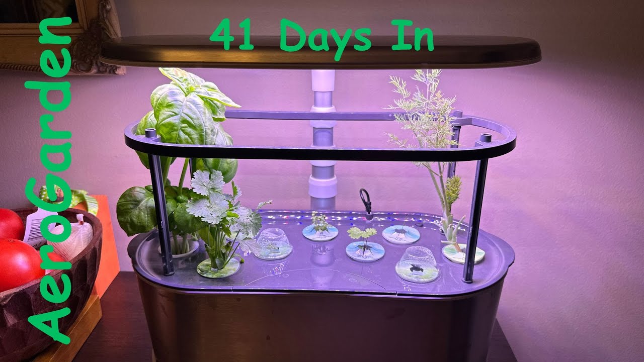 My Latest Hobby | Documenting My AeroGarden Progress | Episode 1 - YouTube
