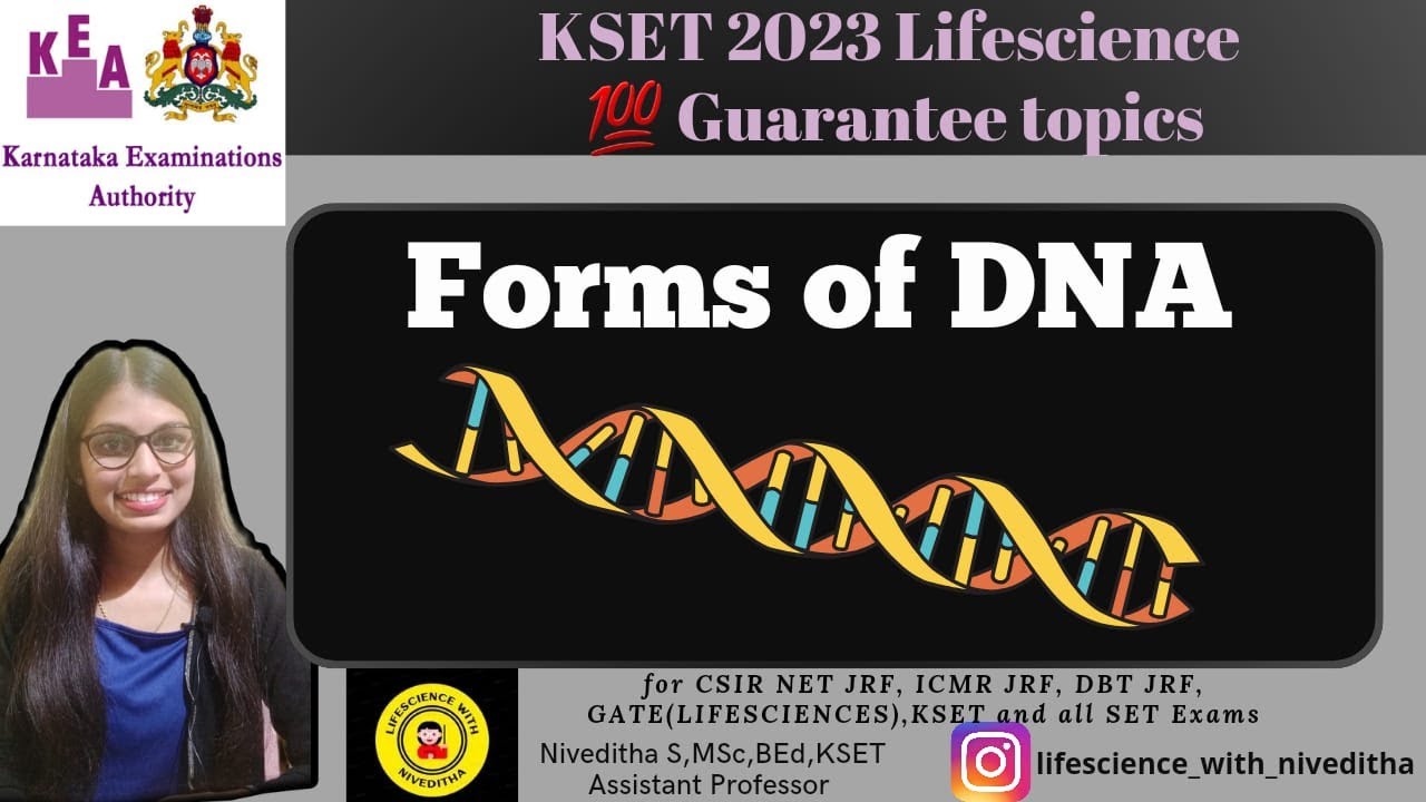 Kset Life Science Pattern ll FORMS OF DNA II KSET Lifescience Important topics Part 12 - YouTube