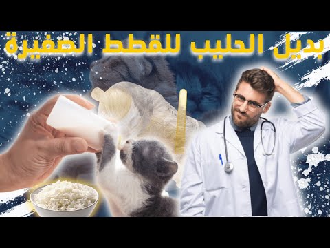 فيديو: الكلب الشهير فيشر كاري ، غاري ، هو اشتعلت في شد الحبل ولكن ليس نوع المرح