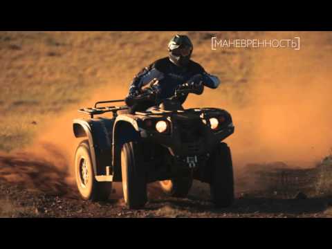 Квадроцикл Стелс Леопард