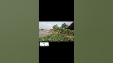 Ông anh lên hàng cực khủng - súng bắn cá V3 #fishing #banca #nabanca #carpfishing #nobanca