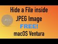 Hide a file inside jpeg image with outguess free  macos ventura