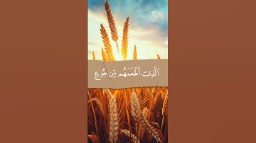 سورة قريش |قرآن كريم 🌹💚 هدوء وراحة