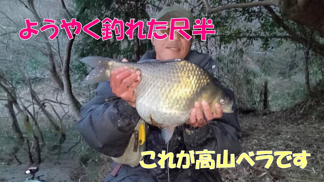 2024年の初尺半までの軌跡［高山ダム編７］