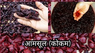 Download Lagu आमसूल बनवण्याची संपूर्ण कृती | Step by step process of making Kokam MP3