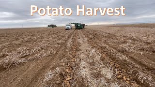 Potato Harvest 2021: In the Field