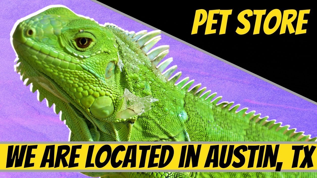 Exotic Pet Supply Store Off 59 Www Usushimd Com