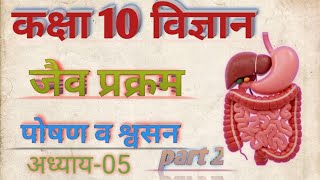 जैव प्रक्रम।। Life process।। class 10 science chapter 05।। one shot ।। upboard,mpboard etc.