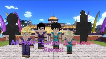 Super Dragon Block Ultimate: All Half-Saiyan & Human Forms!