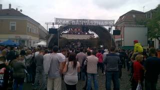Deniz-Csoda