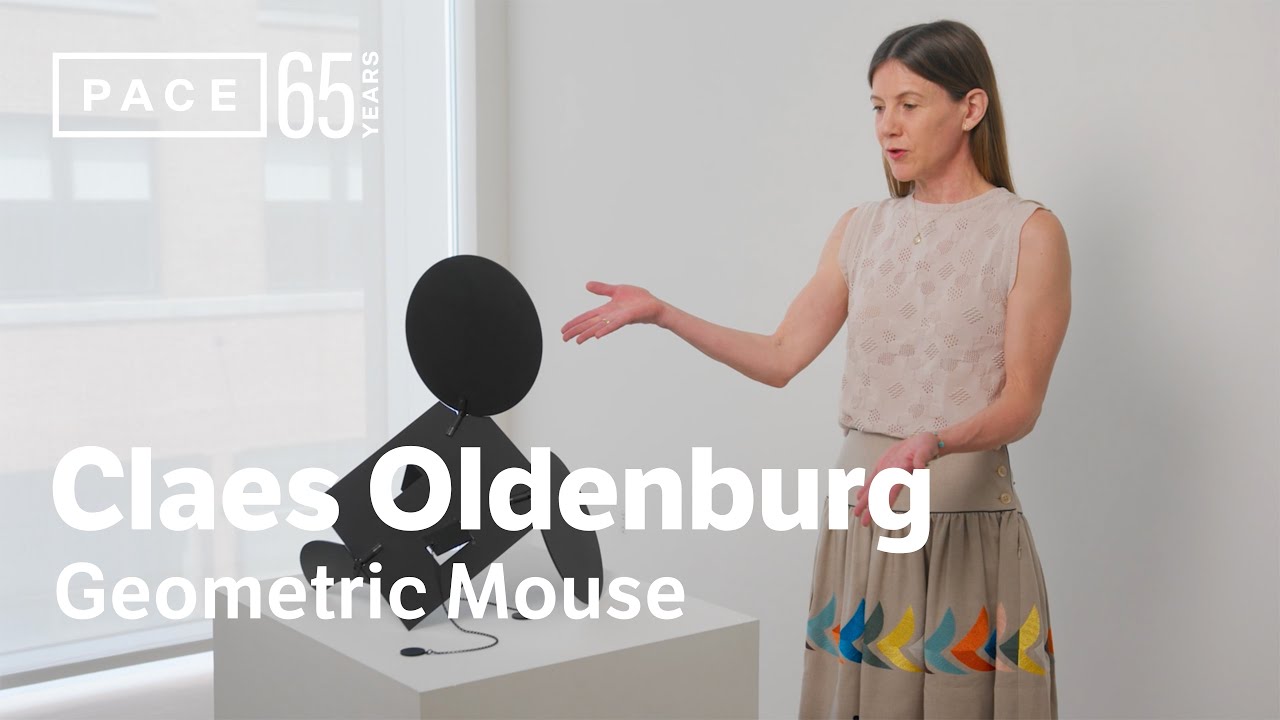 大型本 40 years at PACE Adventures in Art Amazon | Adventures in