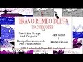 [Bravo Romeo Delta - Игровой процесс]