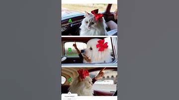 Thumbnail of Cute little animals cat and dog #ukulele #music #song #cat #cutesong #ukulelesongs #catchysong