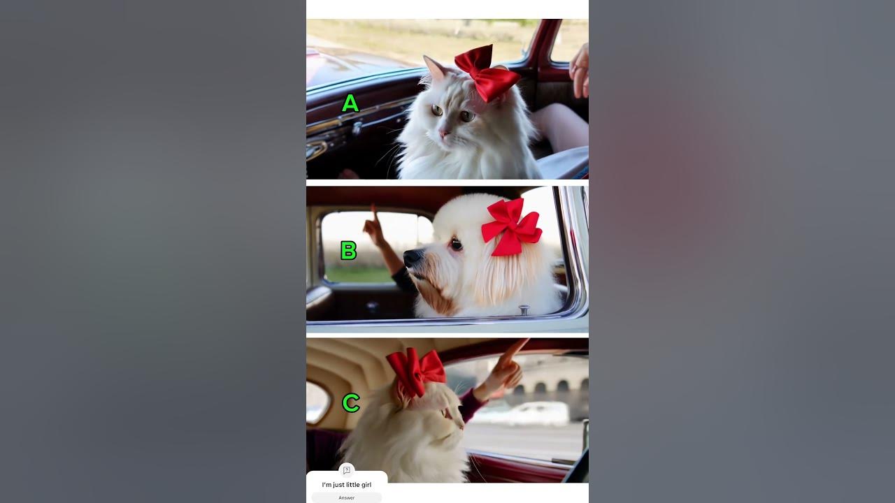 Cute little animals cat and dog #ukulele #music #song #cat #cutesong #ukulelesongs #catchysong
