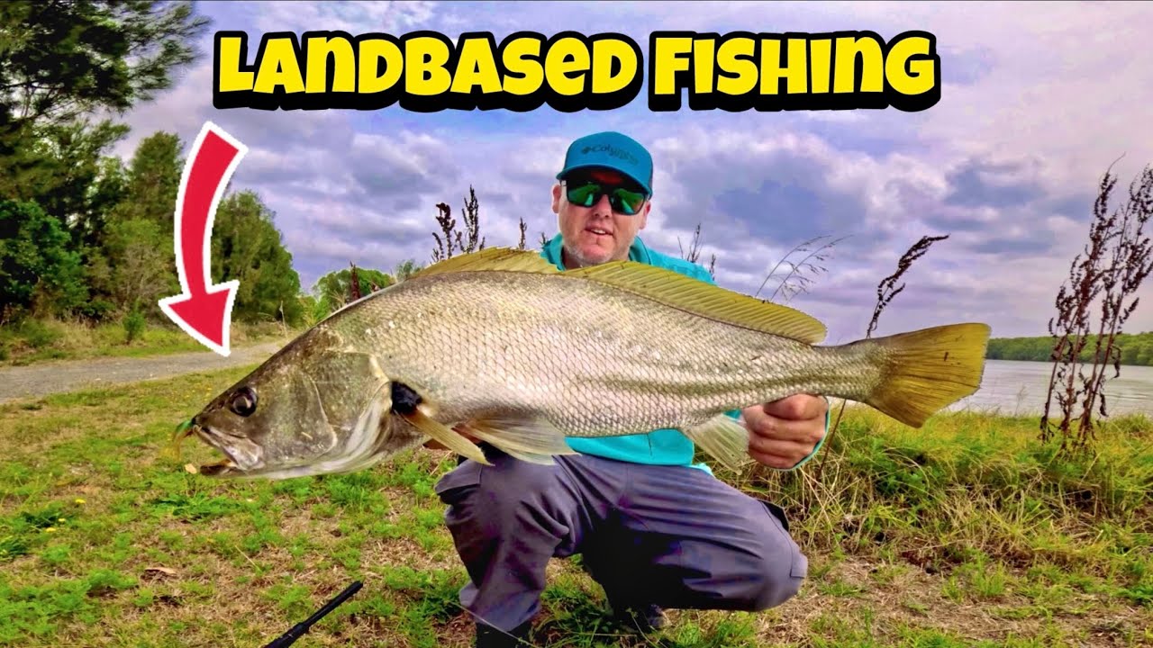 Jewies off the Bank !! 