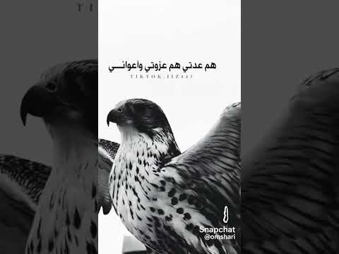 ياالله لا تخليني من اخواني