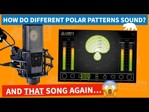 Recording Acoustic Guitar with LEWITT | Change Microphone Polar Patterns AFTER Recording!
