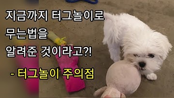 터그놀이로 무는법을 알려준 것이라고?! / 강형욱은 알려주지않는 터그놀이 주의점 초간단 훈련법 / 무는것 입질 이갈이 대처법 / 터그와 장난감 제대로 다루는법